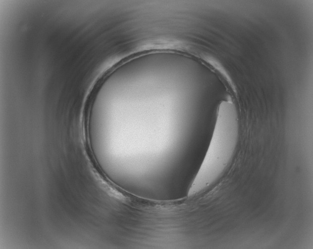 X0000068301080200604241331