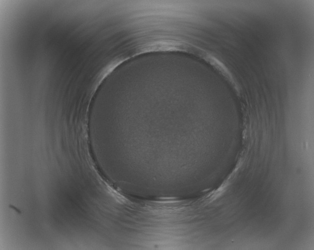 X0000068301081200604241331