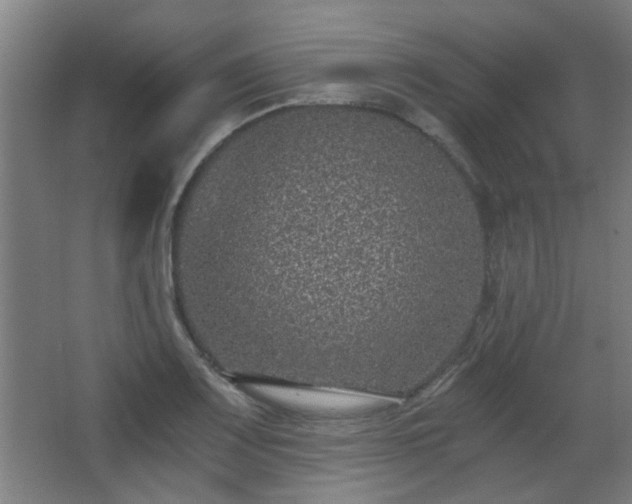 X0000068301083200604241331
