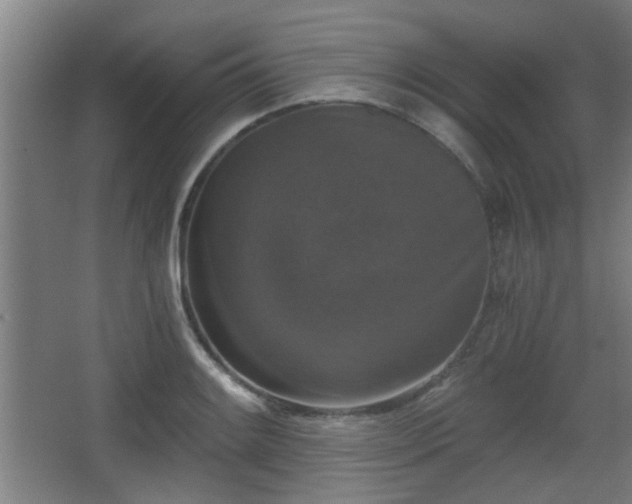 X0000068301084200604241331