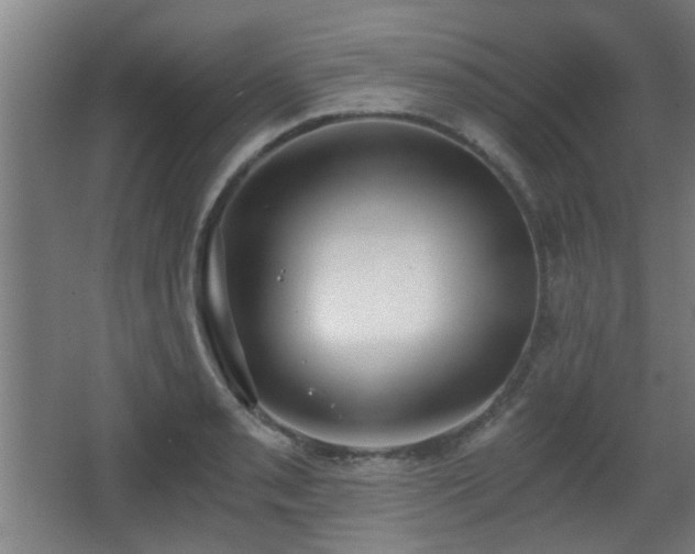 X0000068301085200604241331