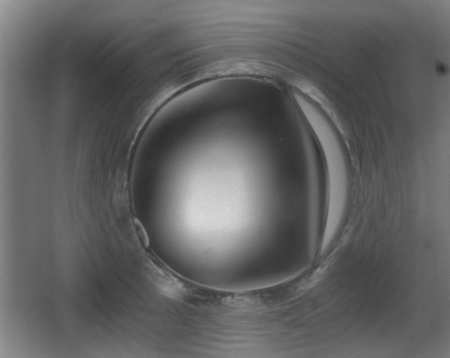 X0000068301089200604241331