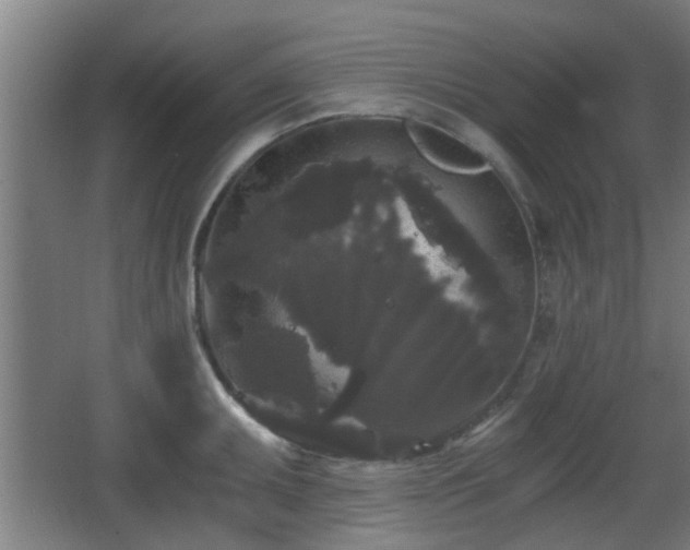 X0000068301095200604241330