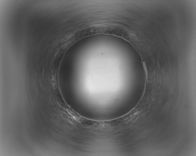 X0000068301109200604241330