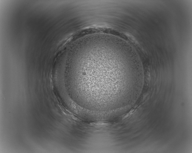 X0000068301110200604241330