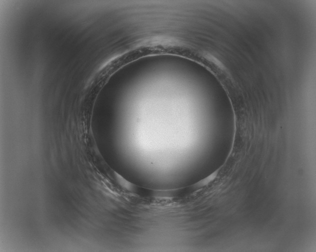X0000068301112200604241330