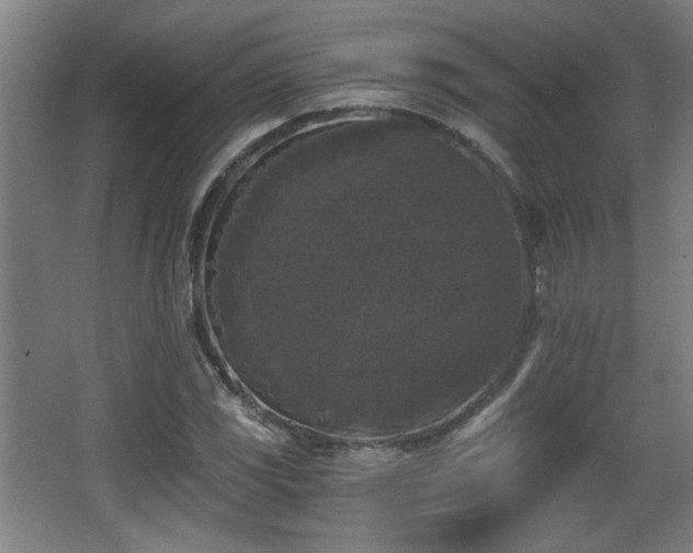 X0000068301117200604241330