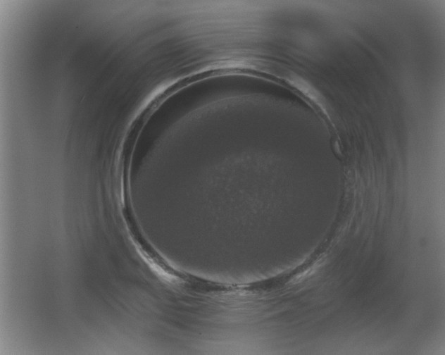 X0000068301127200604241330