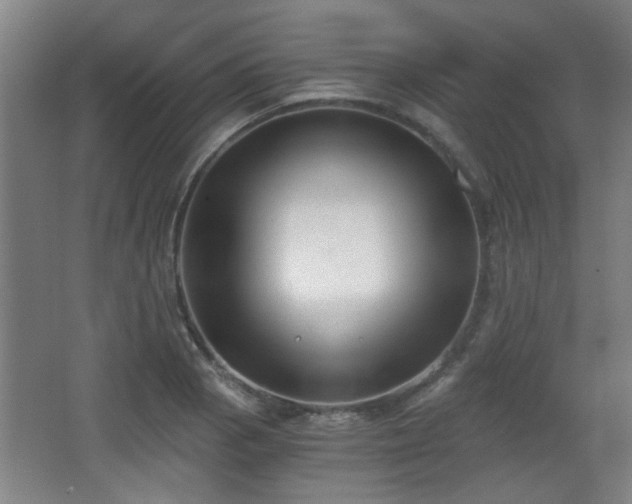 X0000068301129200604241330