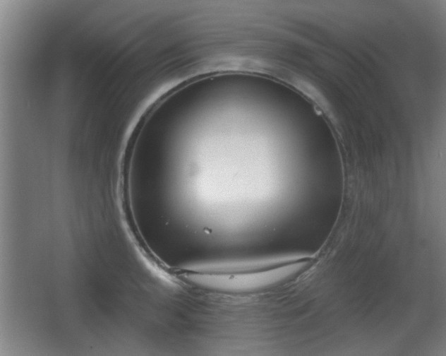 X0000068301136200604241330