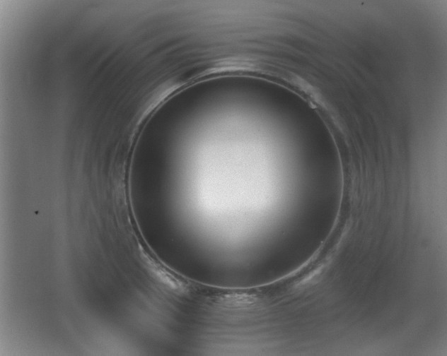 X0000068301137200604241330