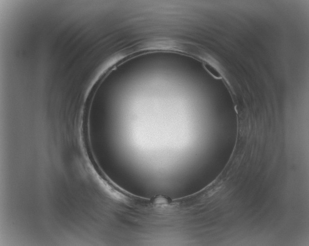 X0000068301139200604241330