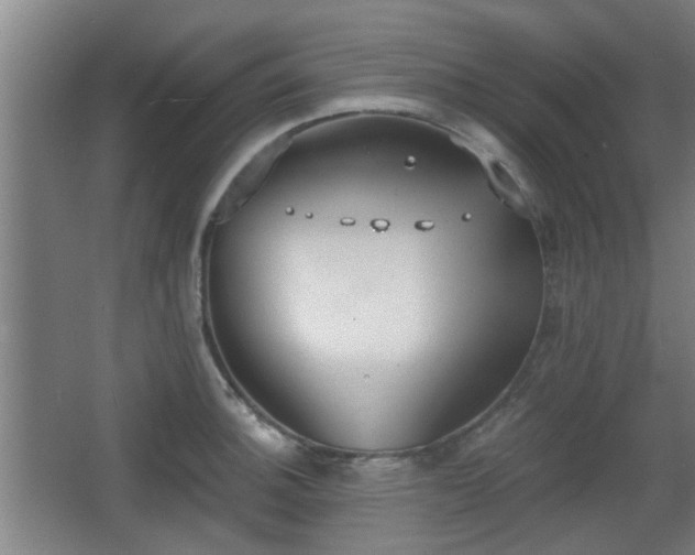 X0000068301140200604241330