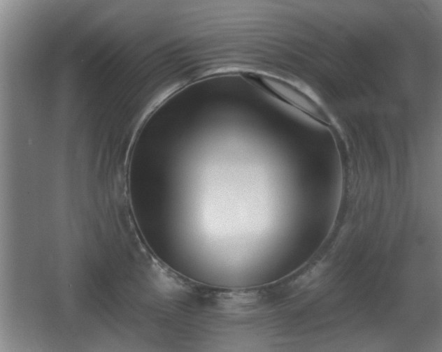 X0000068301145200604241330