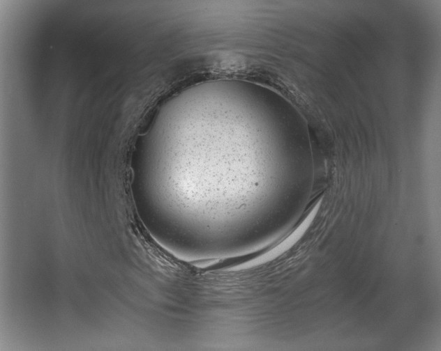 X0000068301153200604241329