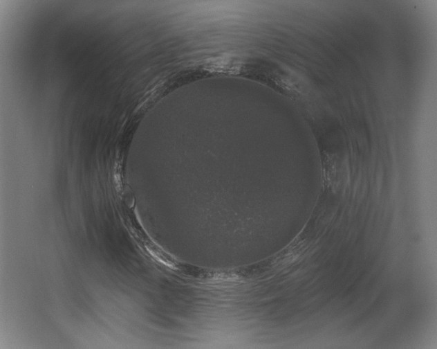 X0000068301154200604241329