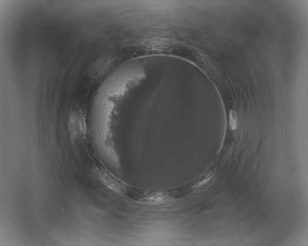 X0000068301155200604241329