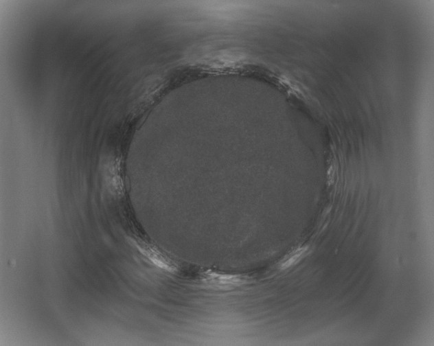 X0000068301156200604241329