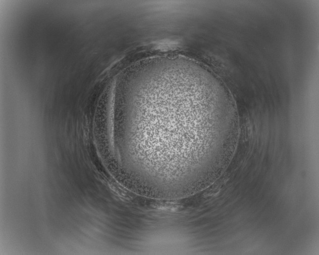 X0000068301158200604241329