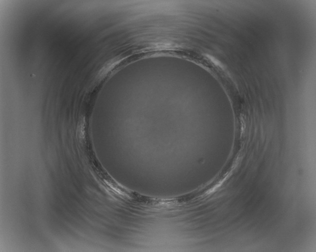 X0000068301161200604241329
