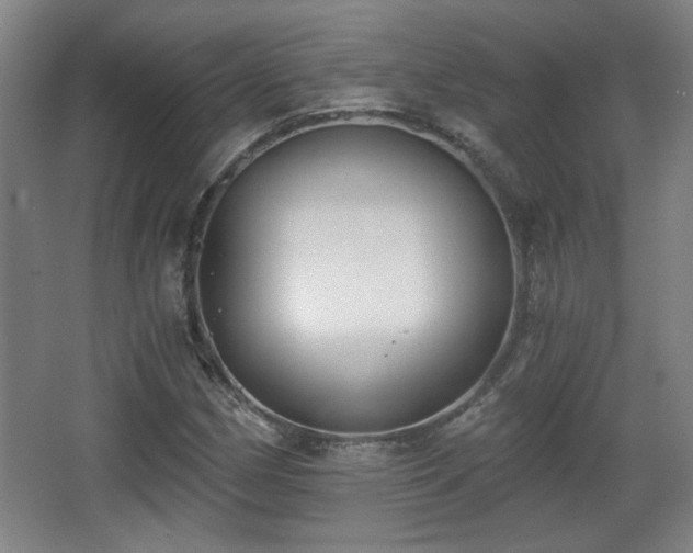 X0000068301162200604241329