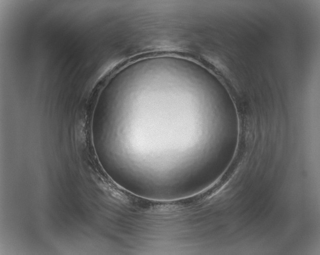 X0000068301163200604241329