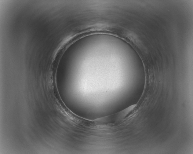 X0000068301164200604241329