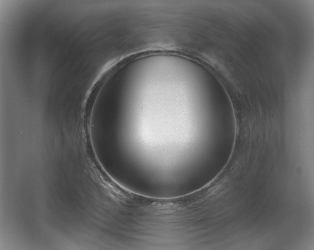 X0000068301168200604241329
