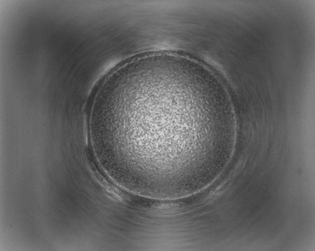 X0000068301171200604241329
