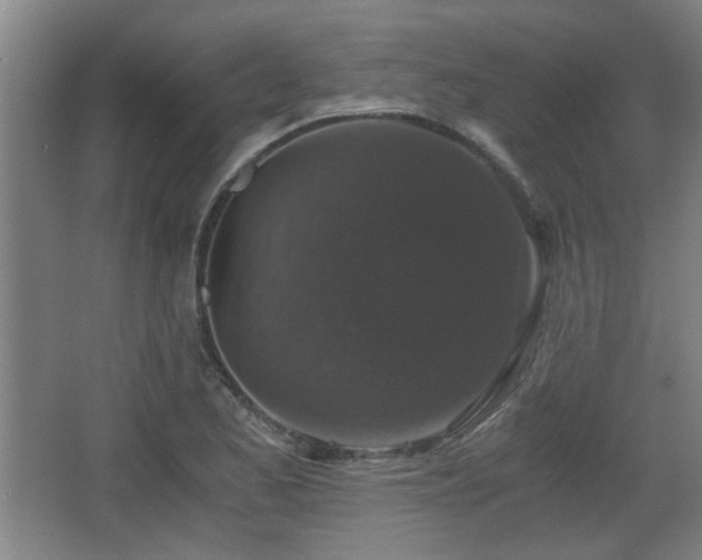 X0000068301173200604241329