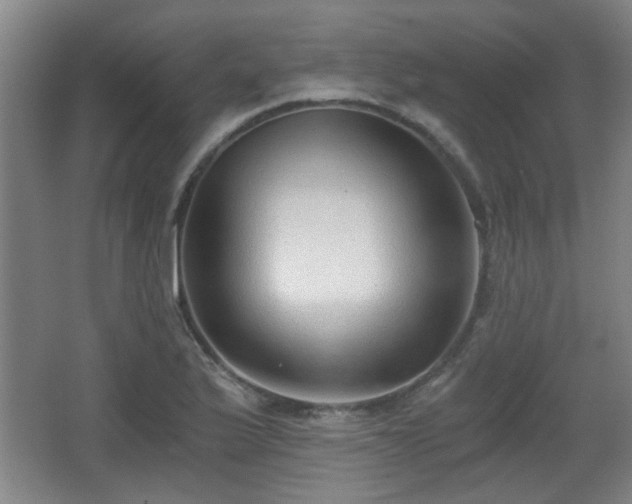 X0000068301175200604241329