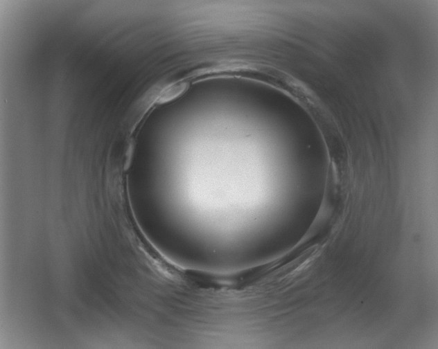 X0000068301177200604241329