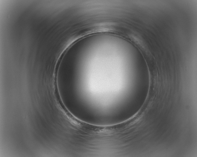 X0000068301178200604241329