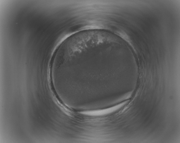 X0000068301179200604241329