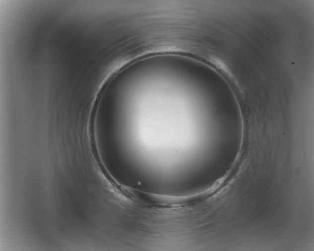 X0000068301181200604241329