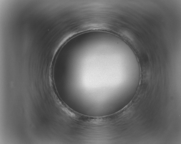 X0000068301182200604241329