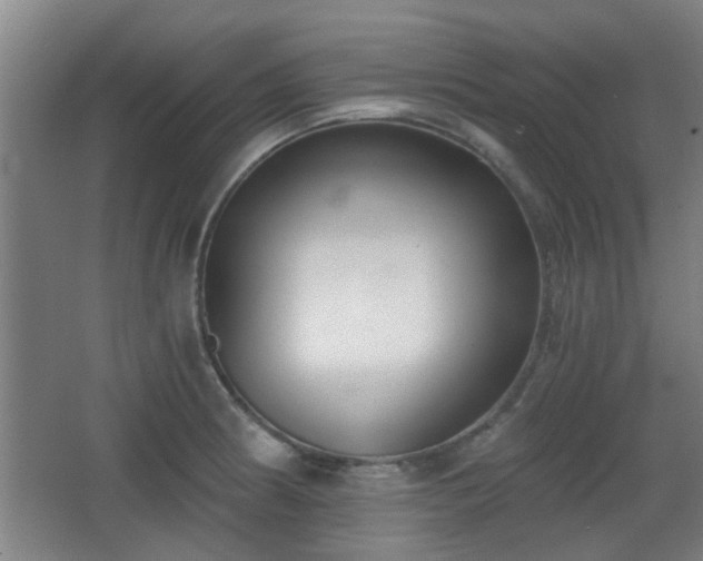 X0000068301186200604241329