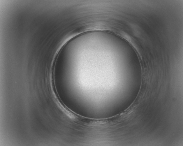 X0000068301187200604241329