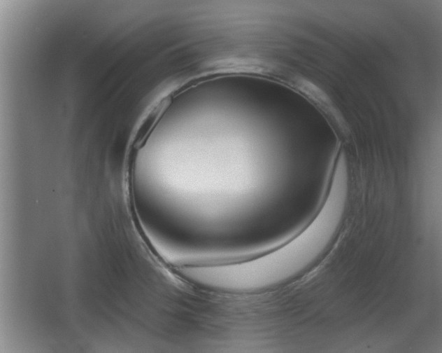 X0000068301188200604241329