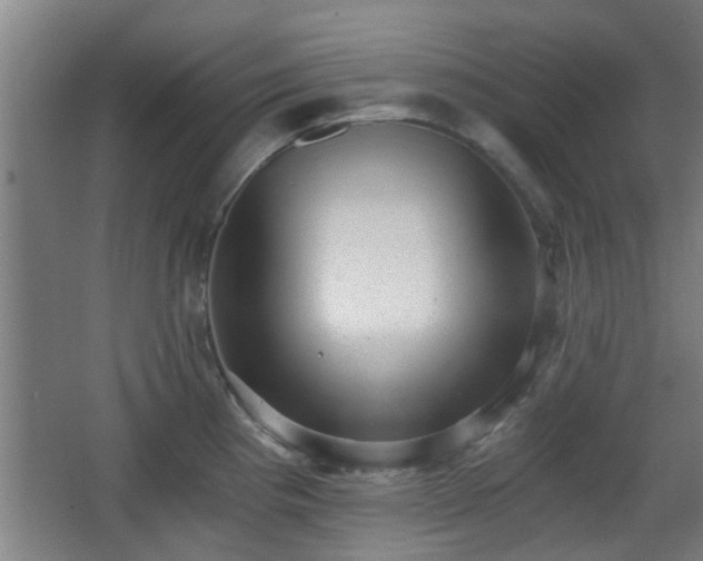 X0000068301193200604241329
