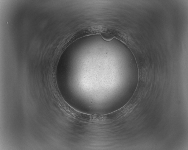 X0000068301201200604241328