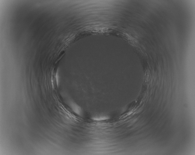 X0000068301202200604241328