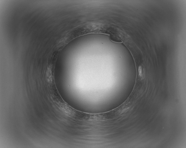 X0000068301203200604241328