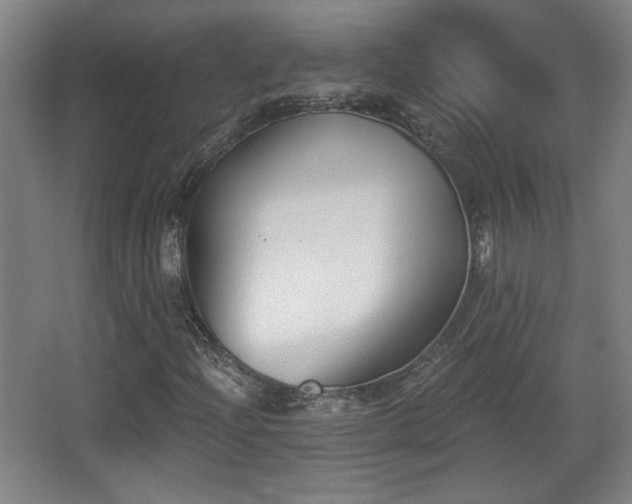 X0000068301204200604241328