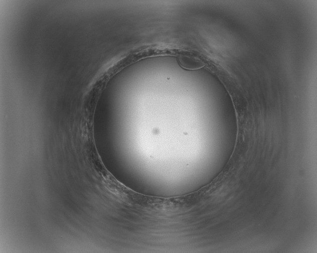 X0000068301207200604241328