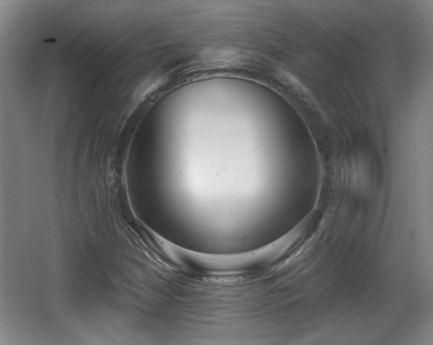 X0000068301210200604241328