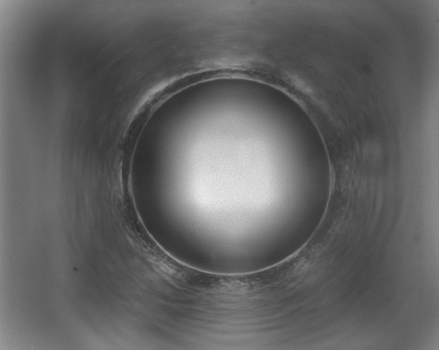 X0000068301214200604241328