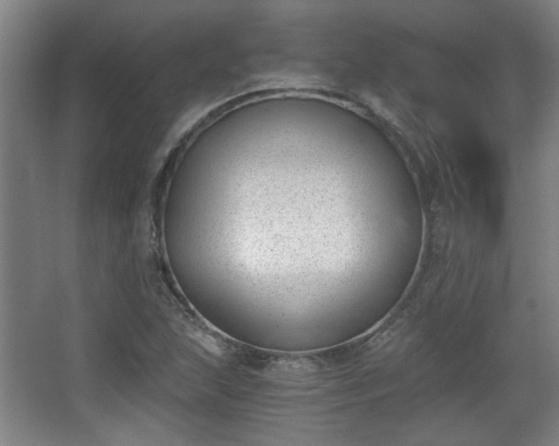 X0000068301215200604241328