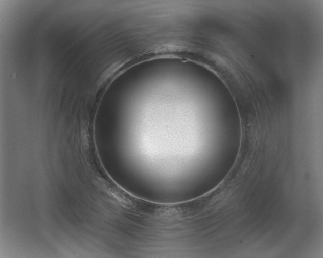 X0000068301217200604241328