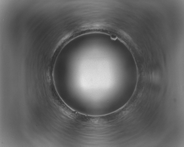 X0000068301218200604241328
